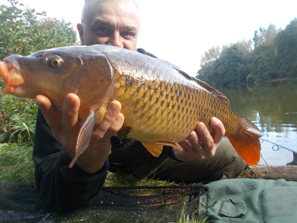 A nice enough fish from the venue