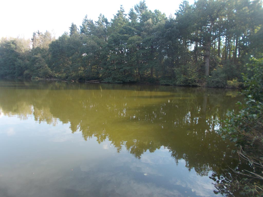 Another view of the pool that produced the goods