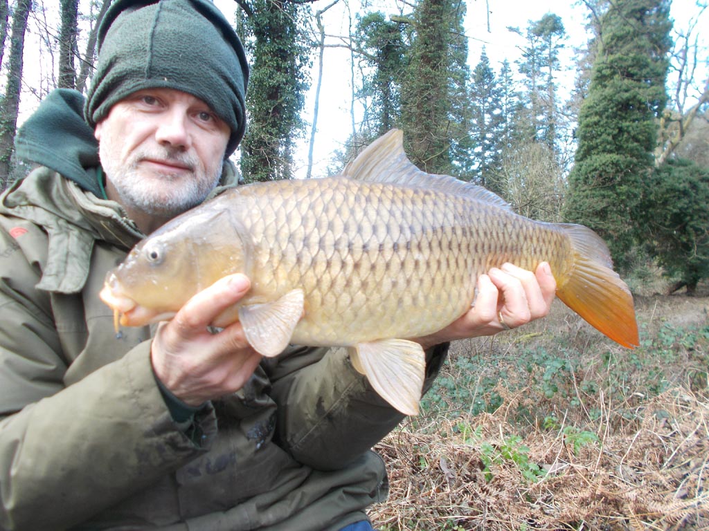 A small common but very welcome