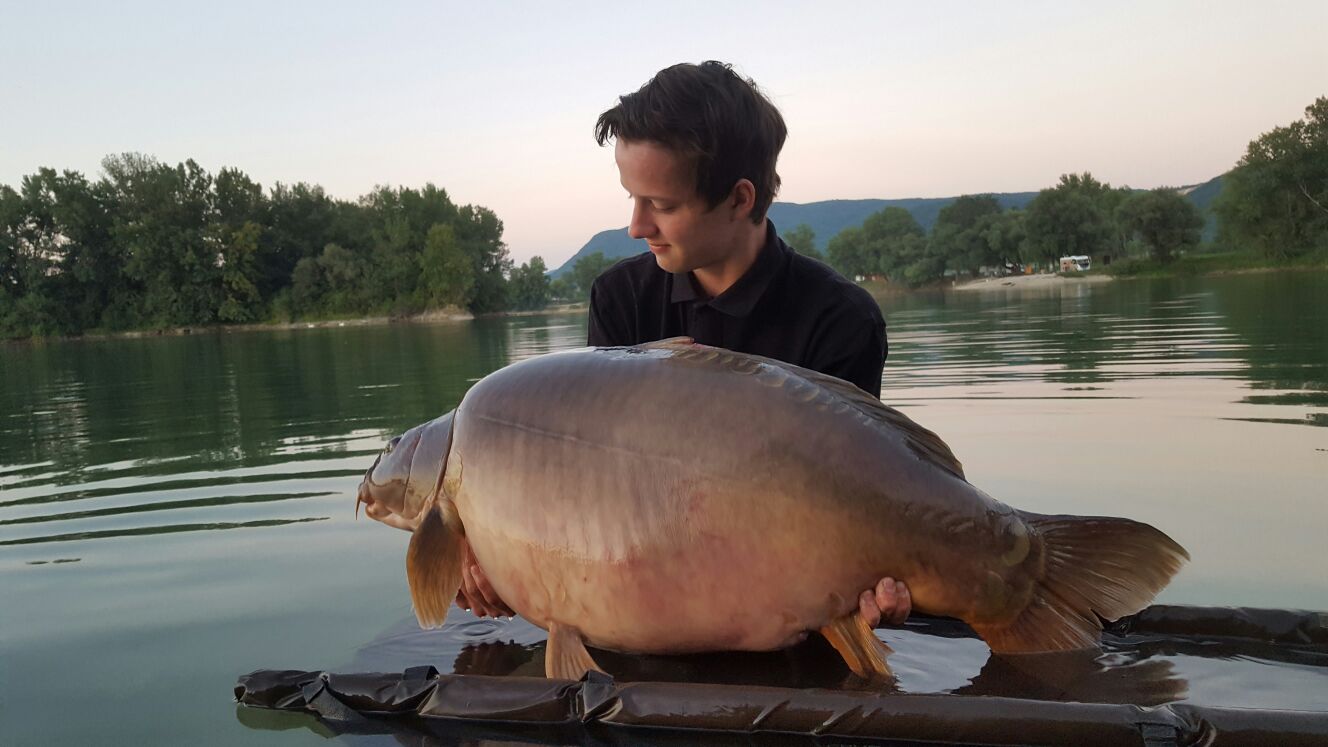 28,50 kg