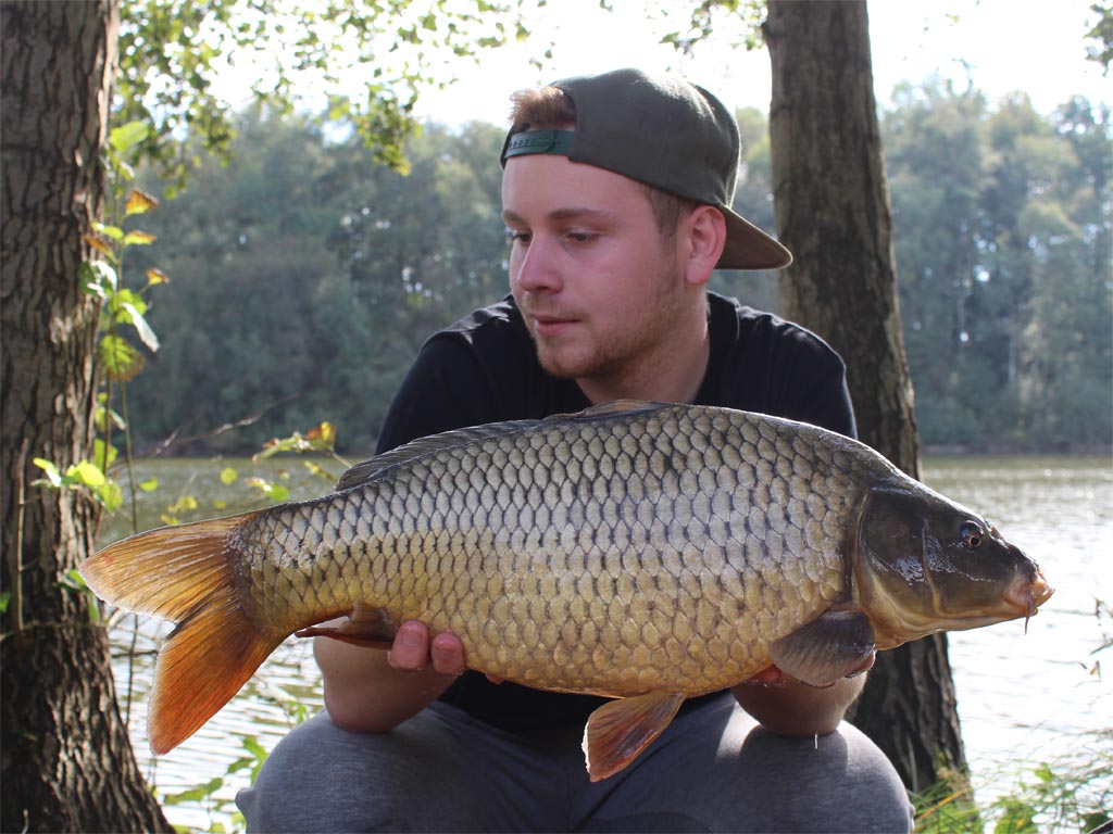 Doppelrun und die Fische ähnelten sich auch