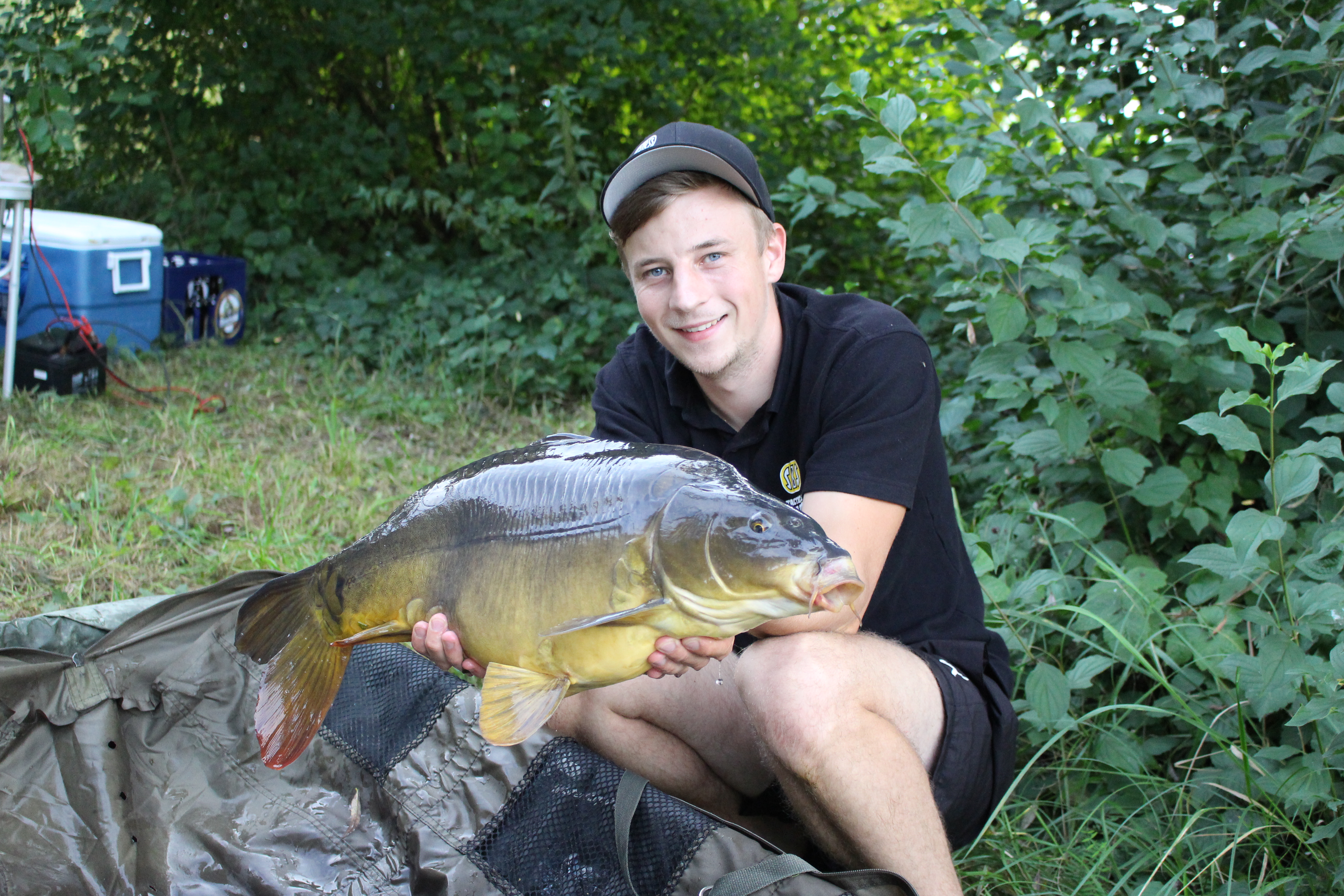 Spiegelkarpfen 7kg - Premium M3 Wafters Boilies