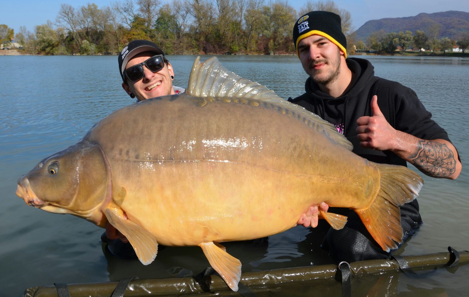 31,7kg Spiegelkarpfen von Tom Resch