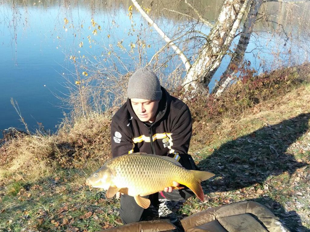 5 kg Schuppenkarpfen auf C1 Wafters Boilie