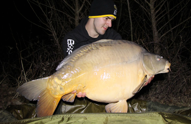 18 kg Spiegelkarpfen auf - SBS Dark Firefly Pinaepple Popup