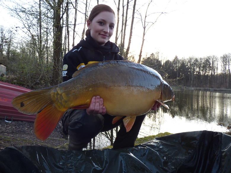 11,8kg Spiegelkarpfen