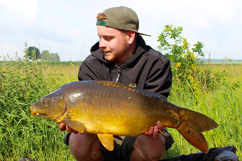 Ein weiterer Spiegelkarpfen von 8kg fand den Weg in meinen Kescher