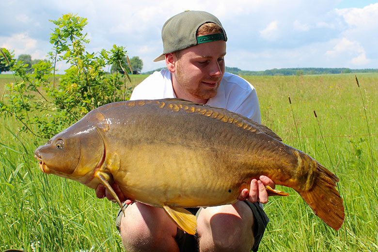 Ein wunderschöner Spiegelkarpfen mit 12kg