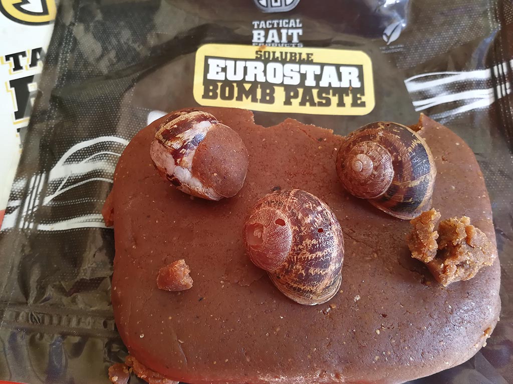 SBS Eurostar Paste mit leeren Schneckengehäusen, eine perfekte Kombination