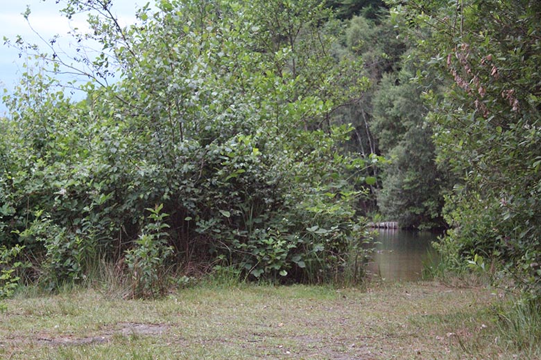 Der See liegt in einem wunderschönen Wald mitten im einem Naturschutzgebiet