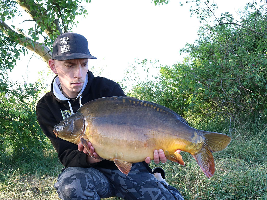 8,30kg ein schöner gesunder Fisch