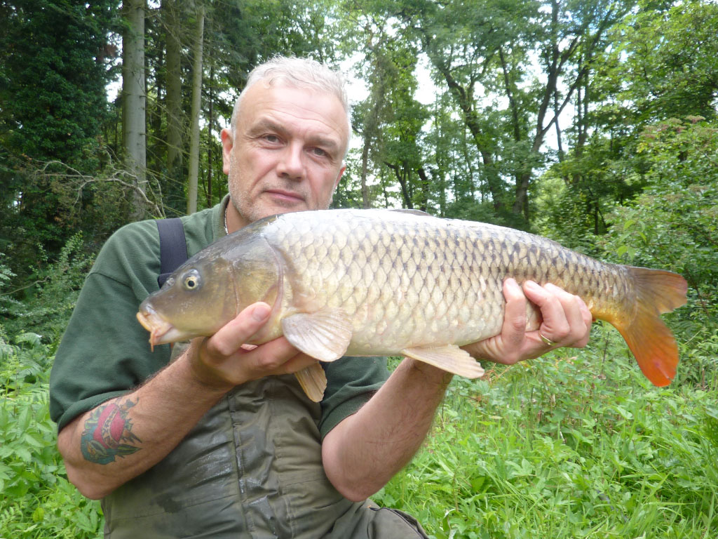A small common but it put up a good fight