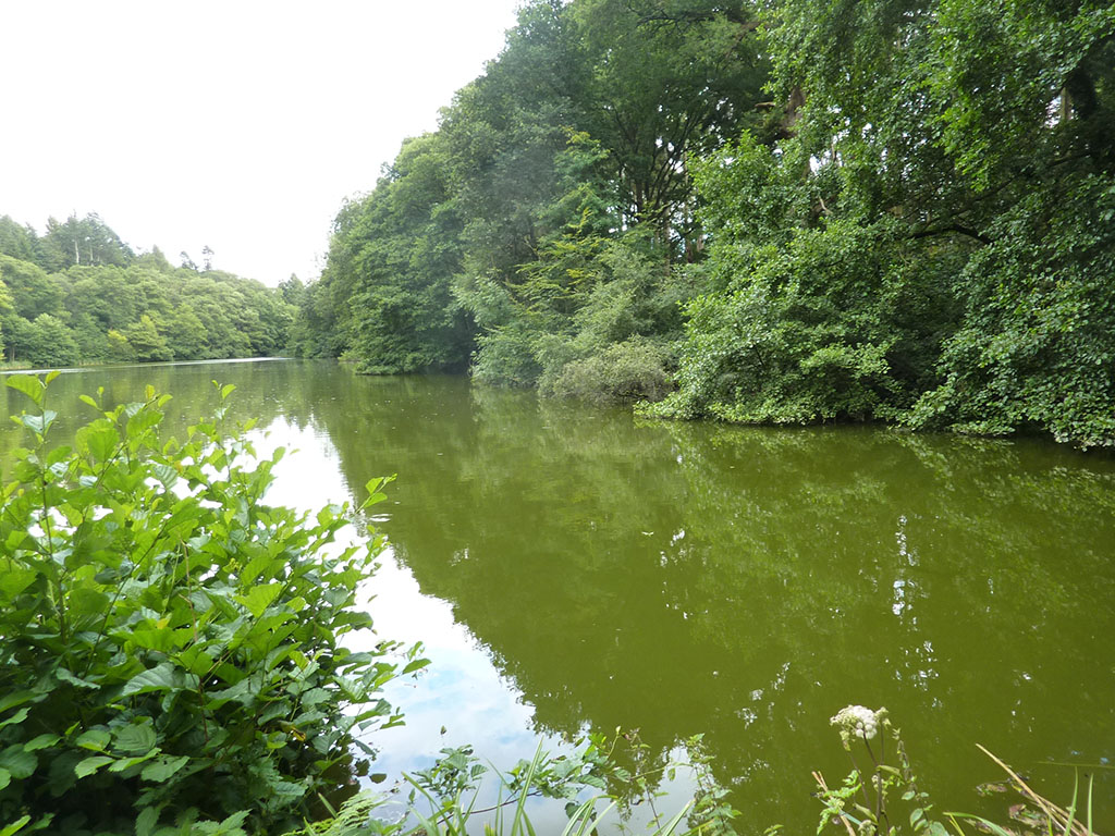 I had a nice afternoon on this lake