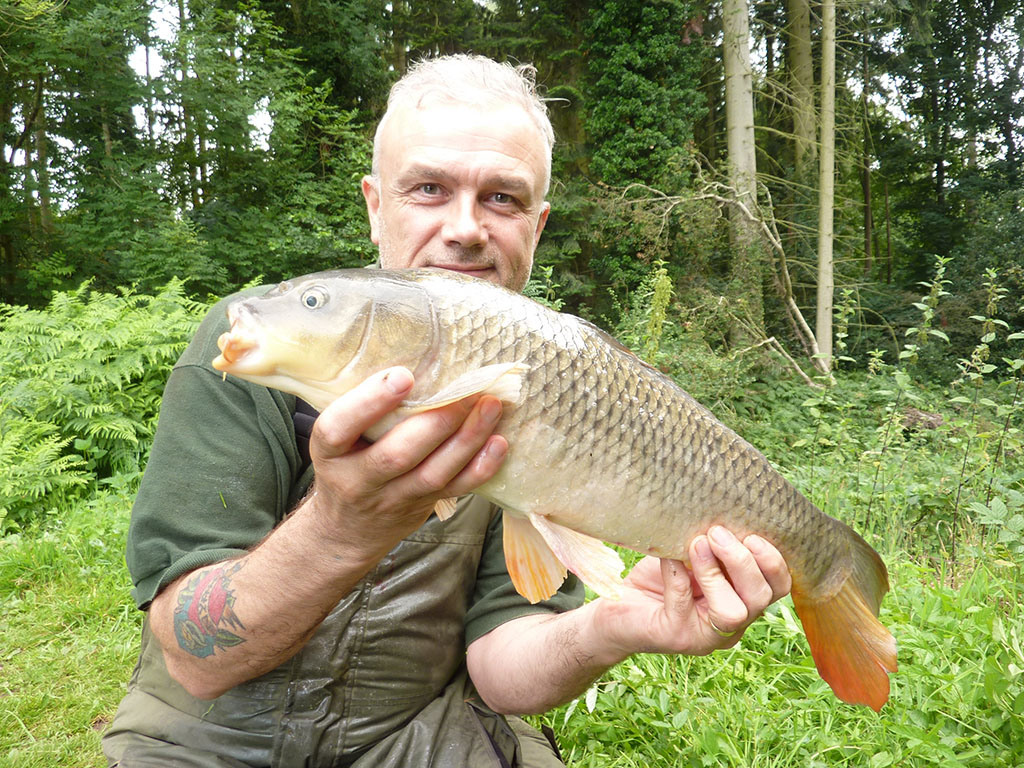 Another small common, you can only catch what's in front of you
