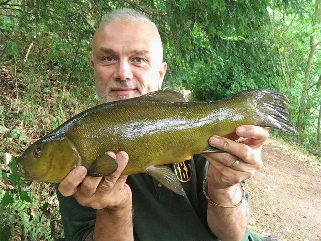 The tench of the session