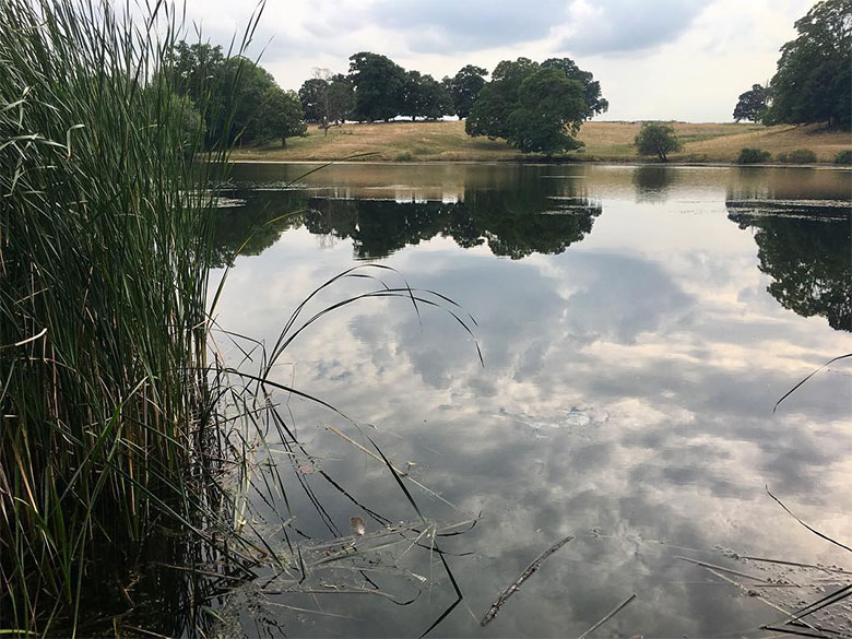 A beautiful English estate lake