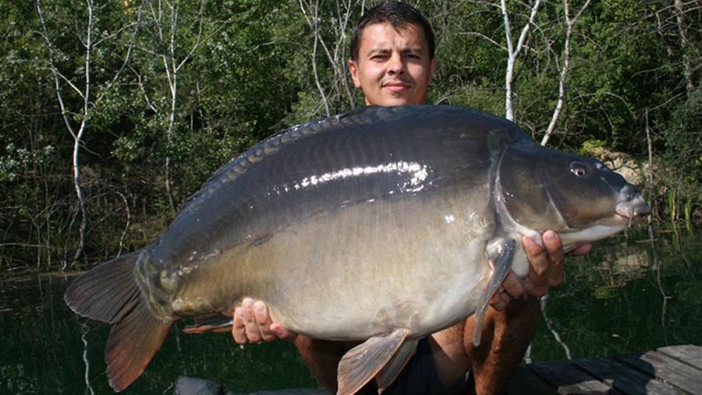 big-fish-tactics2-5788.jpg